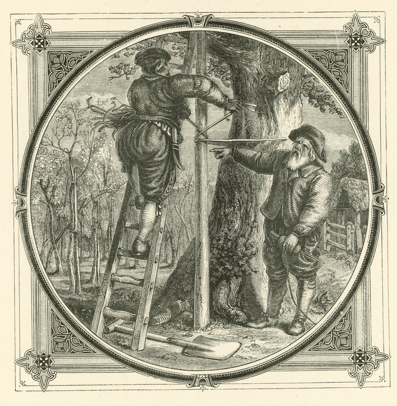 Větve mohou být trénované, ale ne kmen (rytí) od John Leighton