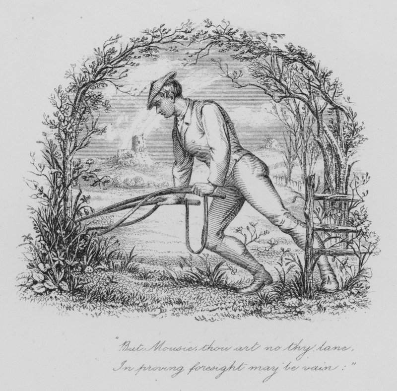 Robert Burns: To a Mouse (rytina) od John Moyr (attr.to) Smith