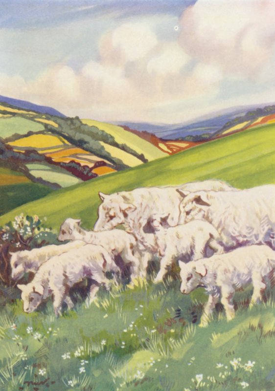 Ilustrace pro Beautiful Joe od Marshalla Saunderse (barevná litografie) od John Nicholson