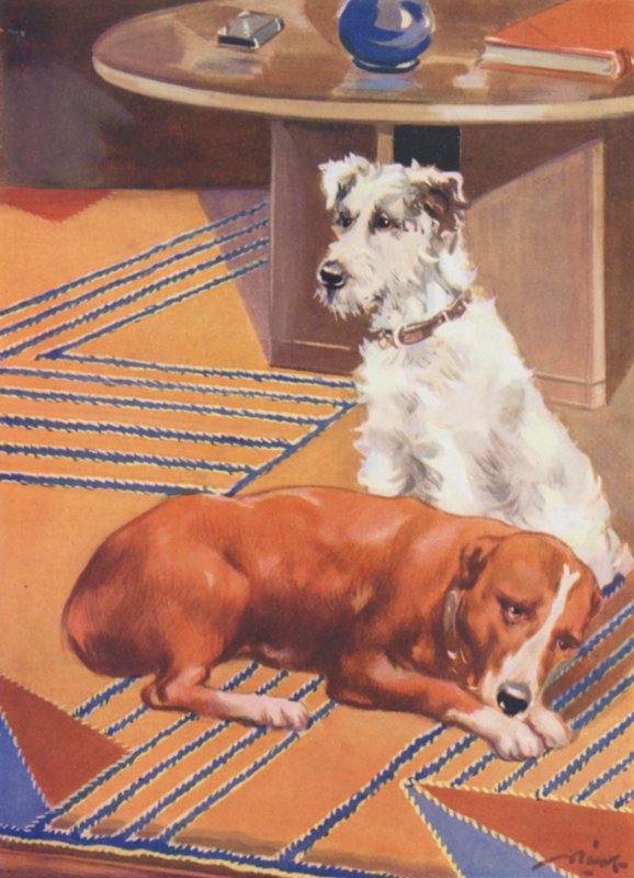 Ilustrace pro Beautiful Joe od Marshalla Saunderse (barevná litografie) od John Nicholson