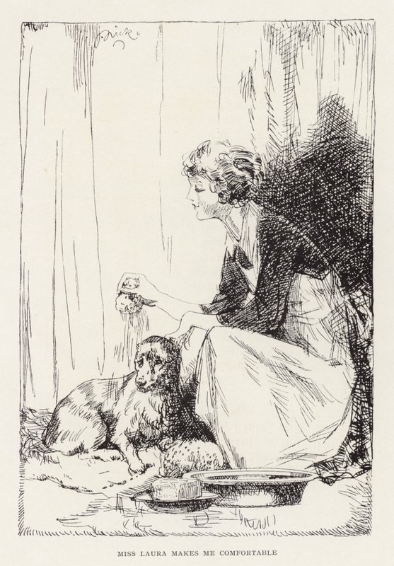 Ilustrace pro Beautiful Joe od Marshalla Saunderse (litografie) od John Nicholson