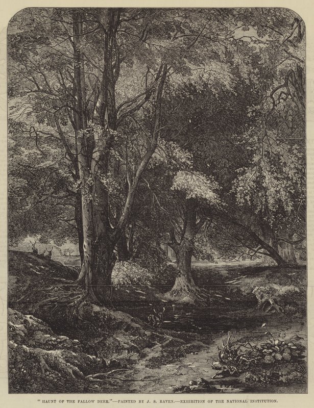 Haunt of the Daněk od John Samuel Raven