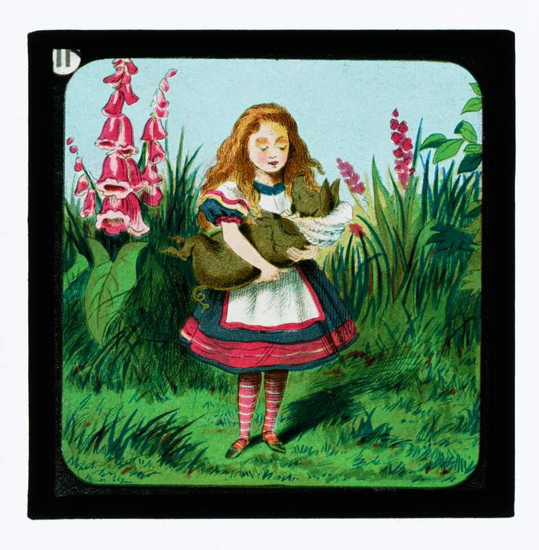 Alenka v říši divů, Barevné lucernové diapozitivy od John Tenniel