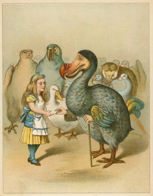Dodo slavnostně předal náprstek z Alenčina dobrodružství v říši divů od John Tenniel