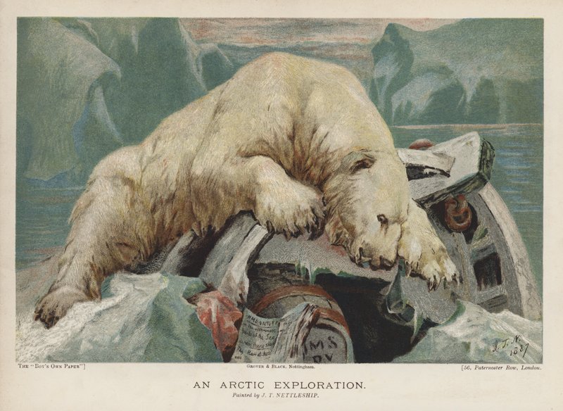 An Arctic Exploration: lední medvěd zkoumající předměty z arktické expedice (chromolitho) od John Trivett Nettleship