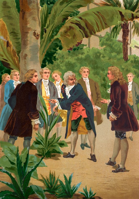 Carl Linné od Josep or Jose Planella Coromina