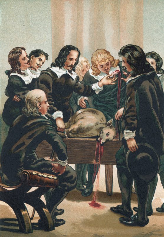 William Harvey demonstruje krevní oběh od Josep or Jose Planella Coromina