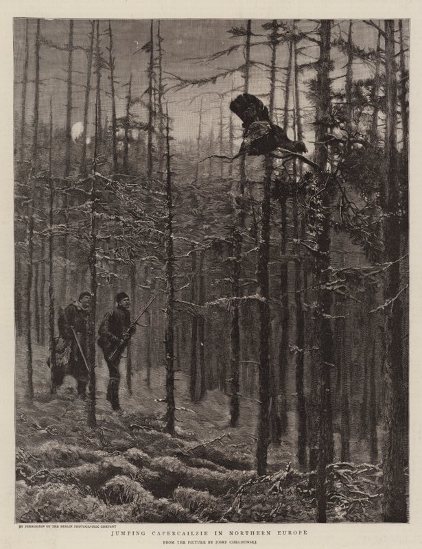 Jumping Capercailzie v severní Evropě od Joseph Chelmonski