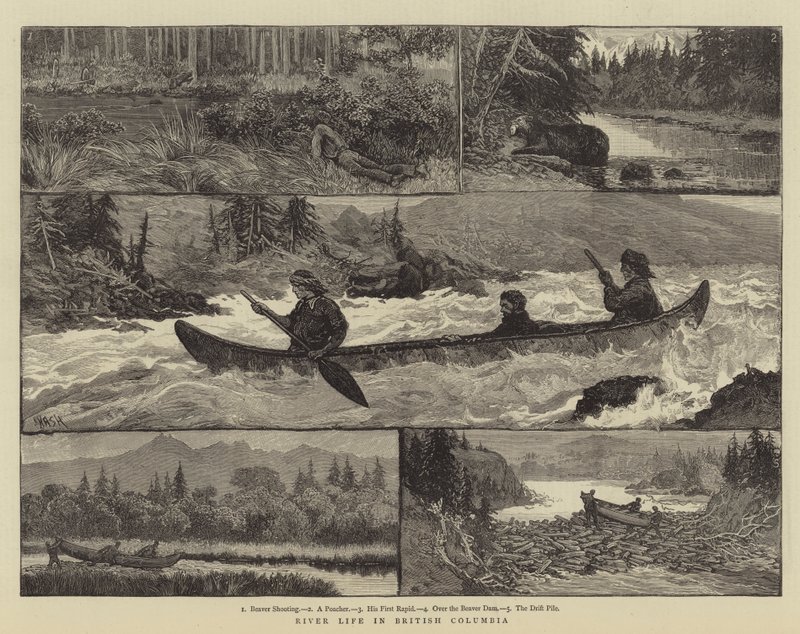 River Life v Britské Kolumbii od Joseph Nash