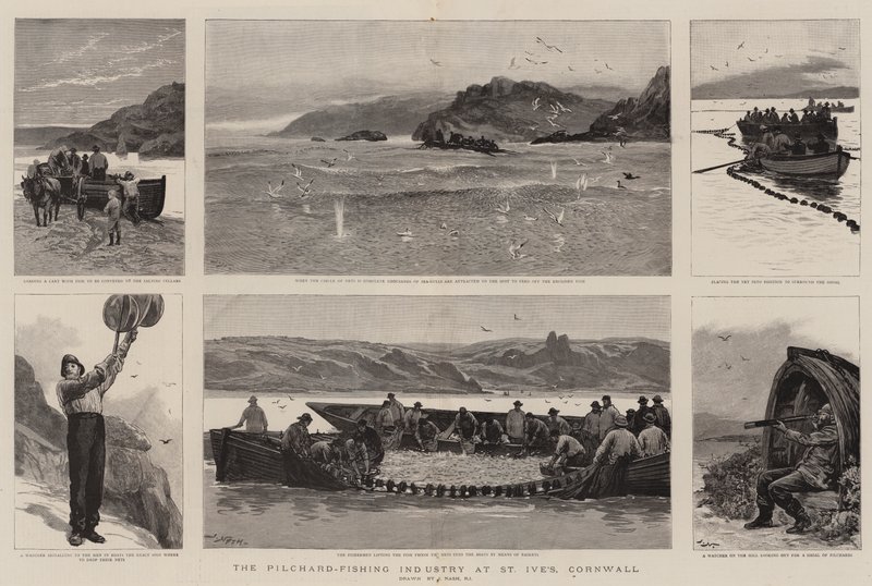 Rybářský průmysl Pilchard v St Ives, Cornwall od Joseph Nash