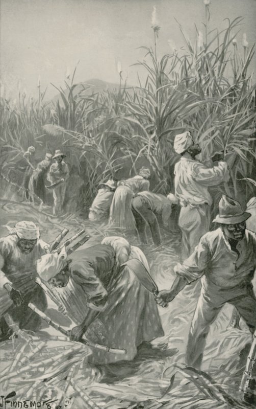 Black při práci na plantáži cukrové třtiny na Jamajce (litho) od Joseph (after) Finnemore