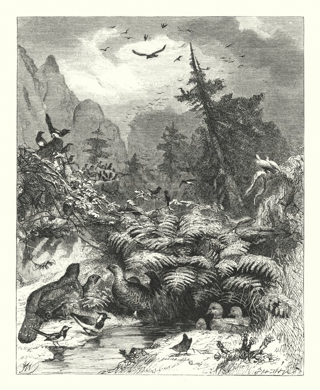 Závěsný od Joseph (after) Wolf