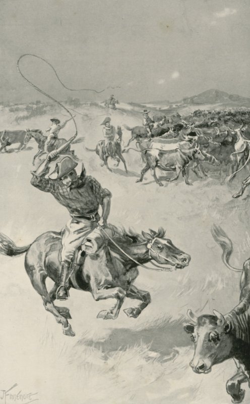 Chov dobytka v Queenslandu od Joseph Finnemore