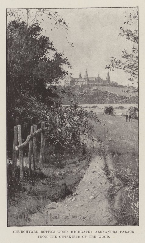 Churchyard Bottom Wood, Highgate, Alexandra Palace z předměstí lesa od Joseph Holland Tringham
