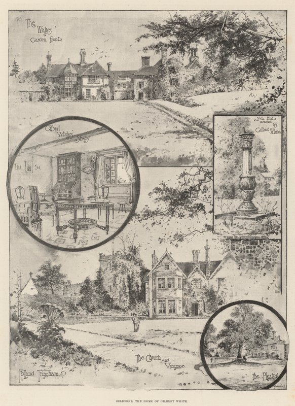 Selborne, domov Gilberta Whitea od Joseph Holland Tringham