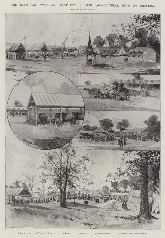 The Bath and the West and Southern Countries Agricultural Show v Croydonu od Joseph Holland Tringham
