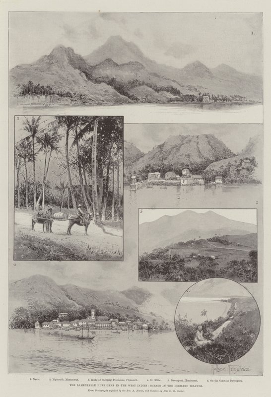 Lamentable Hurikán v Západní Indii, Scény na Leeward Islands od Joseph Holland Tringham