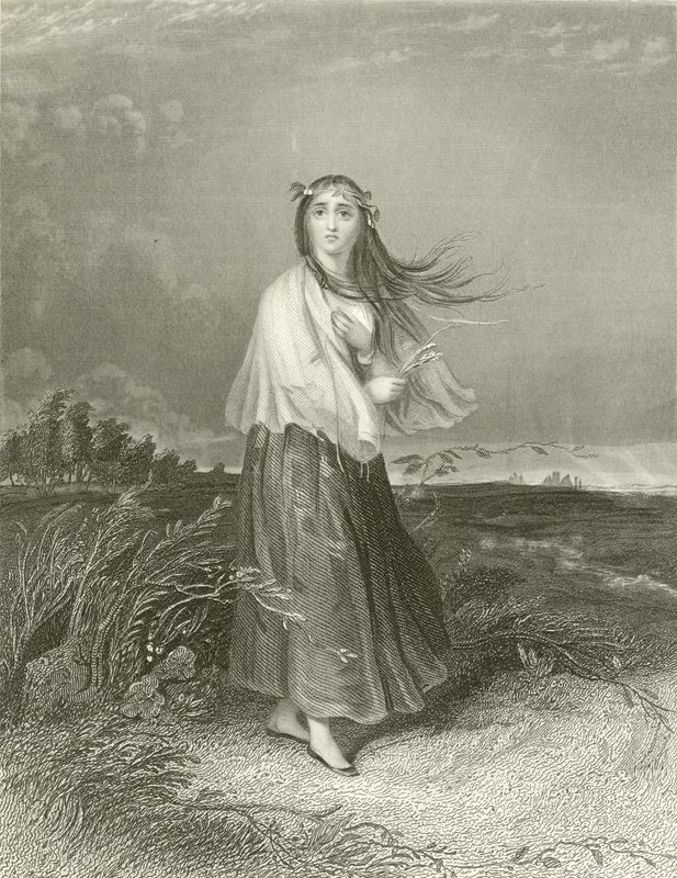 Kate je šílená od Joseph John Jenkins
