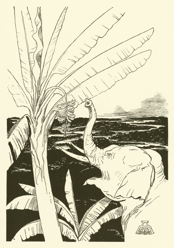Sloní dítě bude tahat banány (rytina) od Joseph Rudyard (after) Kipling