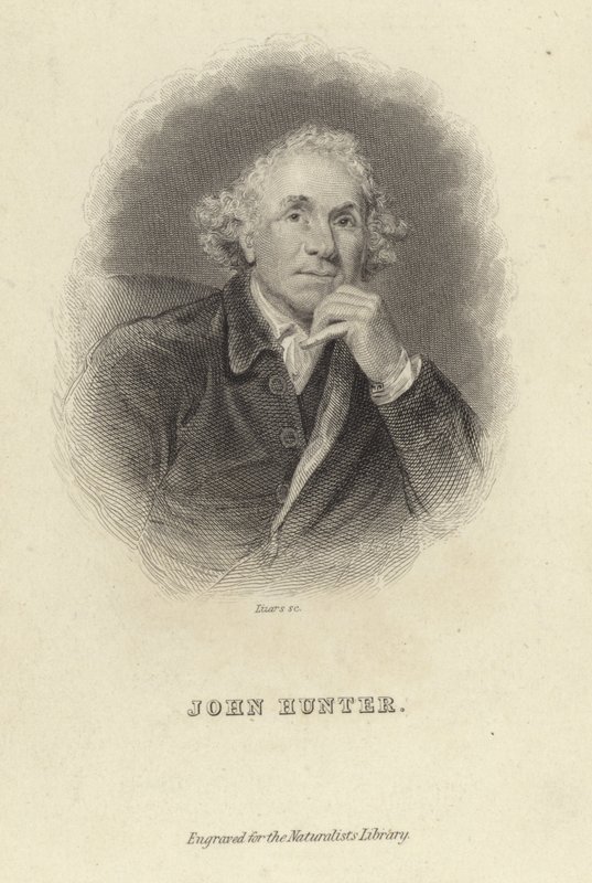 John Hunter od Joshua Reynolds