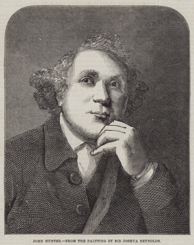 John Hunter od Joshua Reynolds