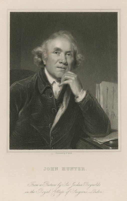 John Hunter od Joshua Reynolds