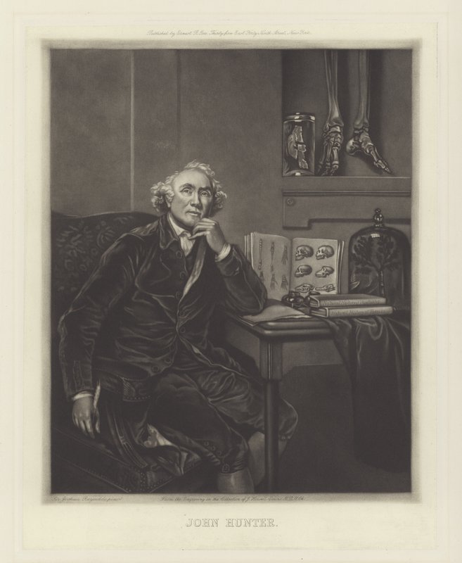 John Hunter , skotský chirurg od Joshua Reynolds