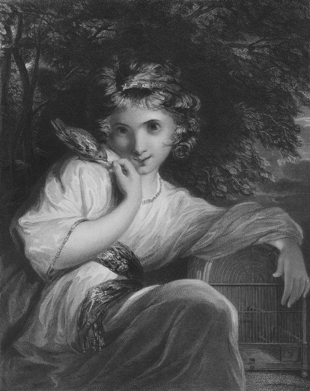 Robinet od Joshua Reynolds