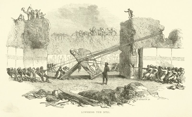 Spouštění býka od Josiah Wood Whymper