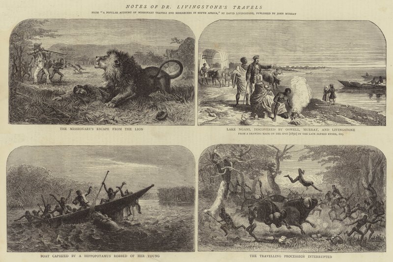 Zápisky z cest Dr. Livingstonea od Josiah Wood Whymper