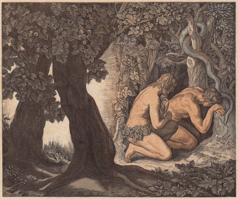 Adam a Eva se schovávají v zahradě, Genesis, III, 8 (kolorovaná rytina) od Julius (after) Schnorr von Carolsfeld