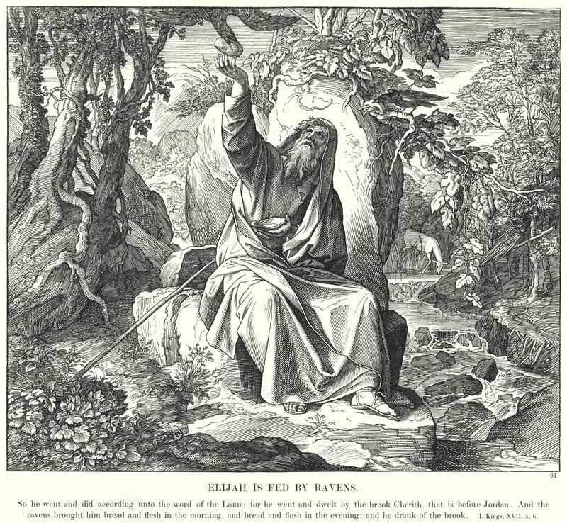Eliáš je krmen havrany (rytina) od Julius (after) Schnorr von Carolsfeld