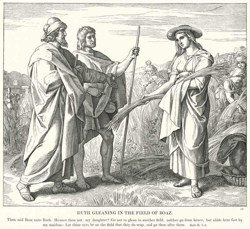 Ruth Gleaning v poli Boaz (rytina) od Julius (after) Schnorr von Carolsfeld