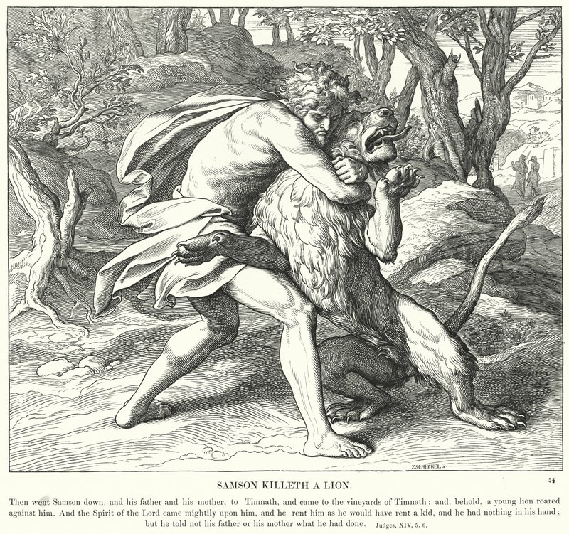 Samson Killeth a Lion (rytina) od Julius (after) Schnorr von Carolsfeld