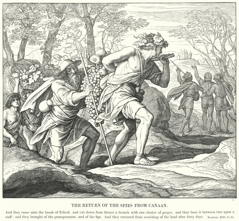 Návrat špiónů z Kanaánu (rytina) od Julius (after) Schnorr von Carolsfeld