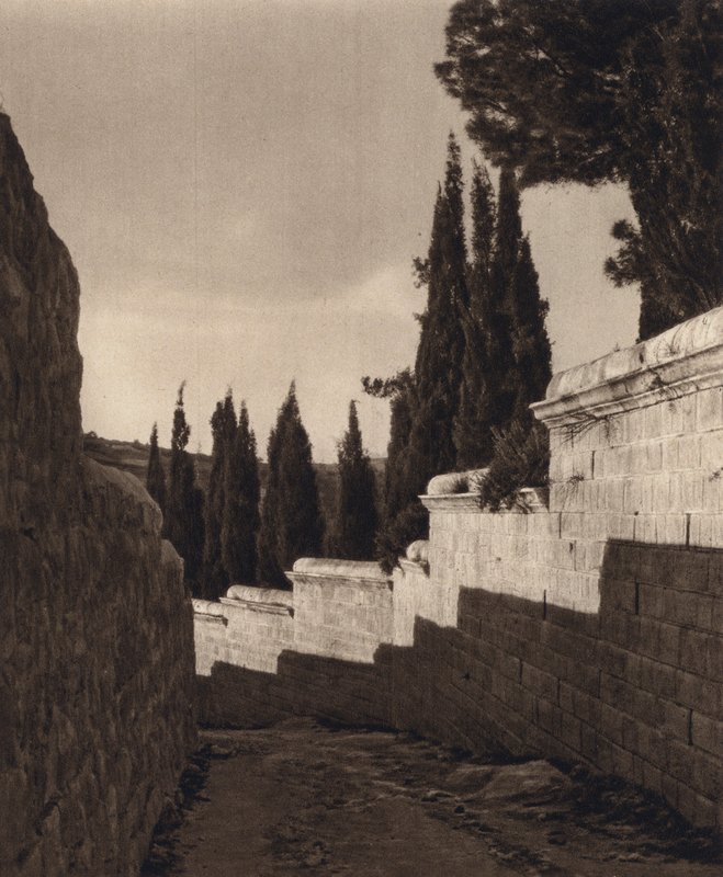 Jeruzalém, Getsemanská zahrada (černobílá fotografie) od Karl Grober