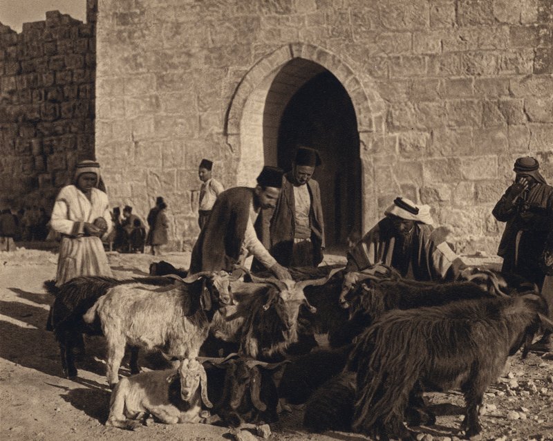 Jeruzalém, trh u Herodovy brány (č/b foto) od Karl Grober