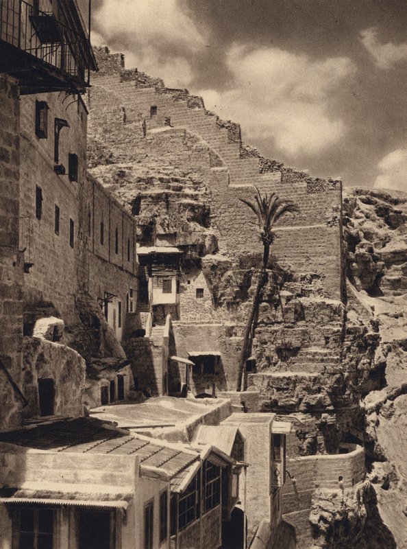 Mar Saba, Palma svatého Sabase (černobílá fotografie) od Karl Grober