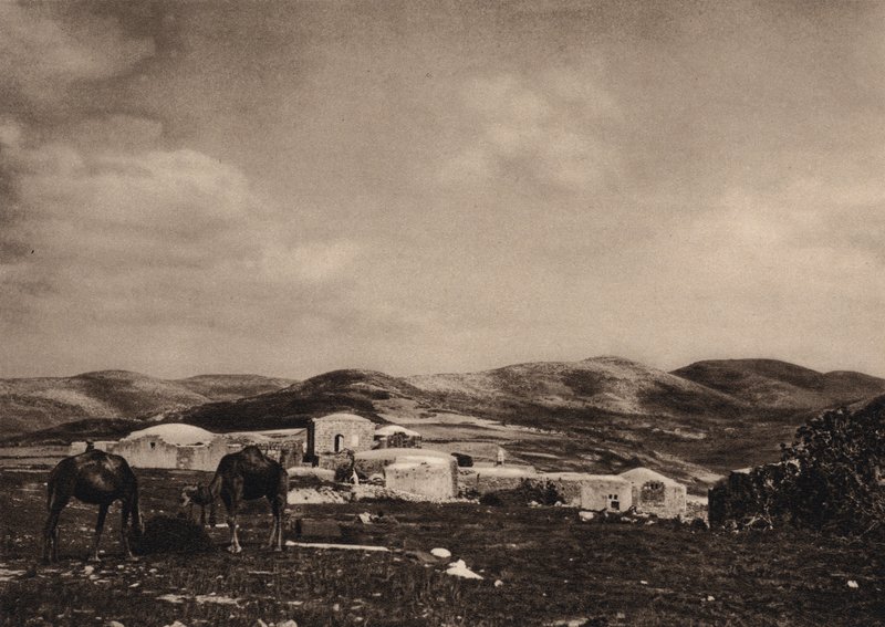 Samaří, pohled z ruin Herodova paláce (č/b foto) od Karl Grober