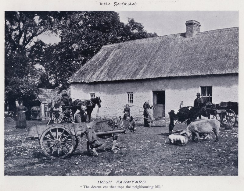 Irish Farmyard (č/b foto) od Karl Karlovich Piratsky