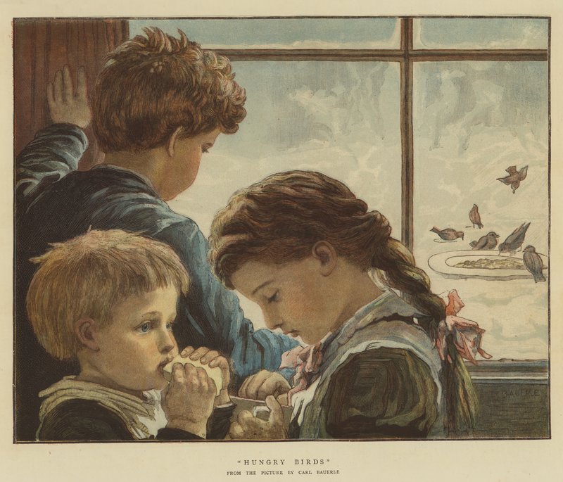 Maďarsko Ptáci (chromolitho) od Karl Wilhelm Friedrich Bauerle