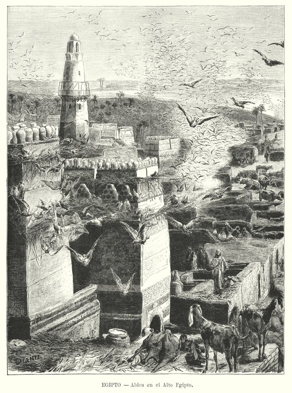 Vesnice v Horním Egyptě (litho) od Karl Wilhelm Gentz