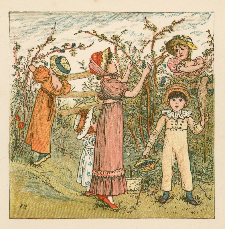 Sbírání ostružin od Kate Greenaway