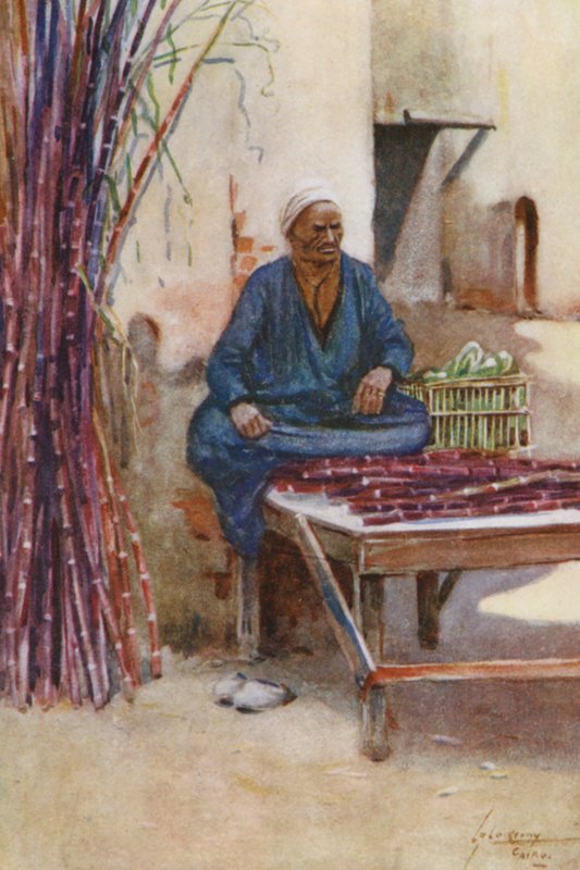 Lidé Egypta: Prodavač cukrové třtiny, Baia Kasseb (barevná litografie) od Lance Thackeray