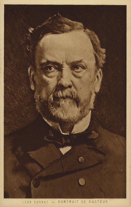Louis Pasteur (1822-1895), francouzský chemik a mikrobiolog od Leon Joseph Florentin Bonnat