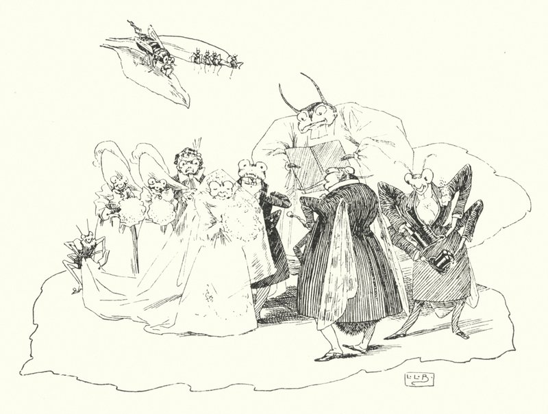 Fiddle-de-dee, fiddle-de-dee (rytina) od Leonard Leslie Brooke