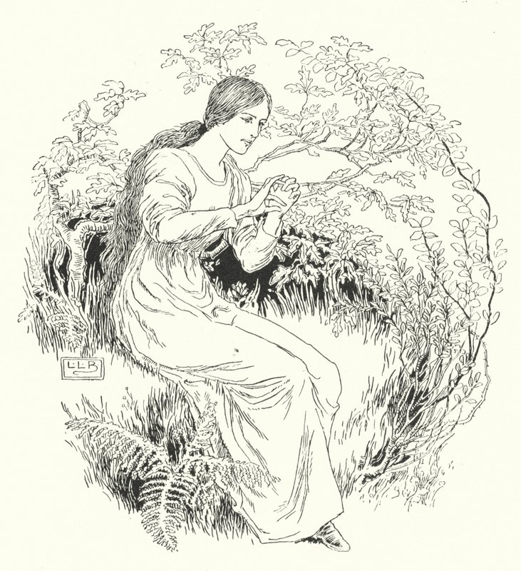 Šel jsem do dřeva a dostal jsem to (rytina) od Leonard Leslie Brooke