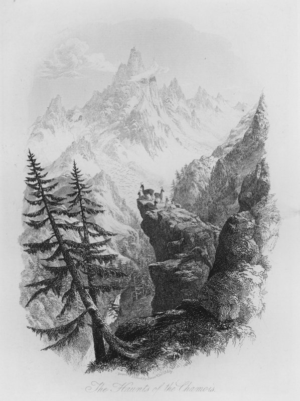 The Haunts of the Chamois (rytina) od Lieutenant Colonel (after) Batty