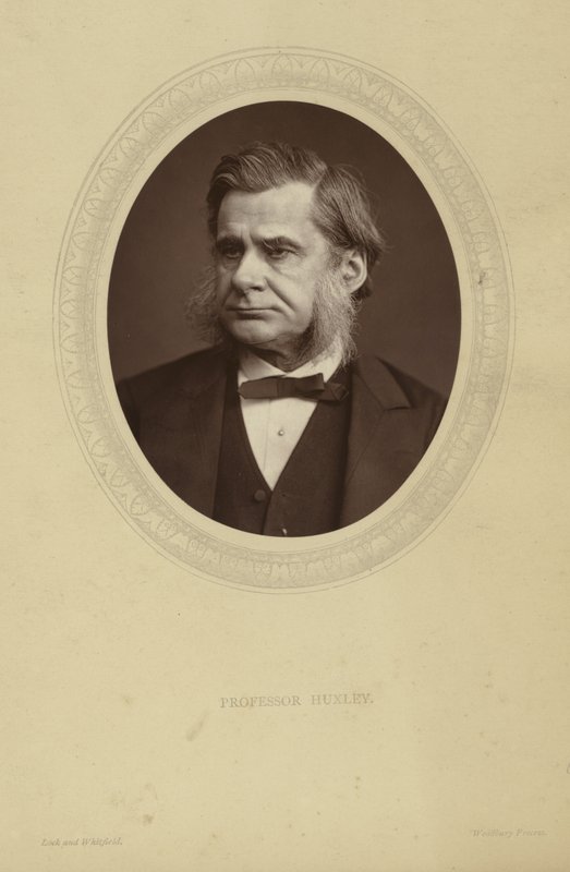 Portrét Thomas Henry Huxley od Lock and Whitfield