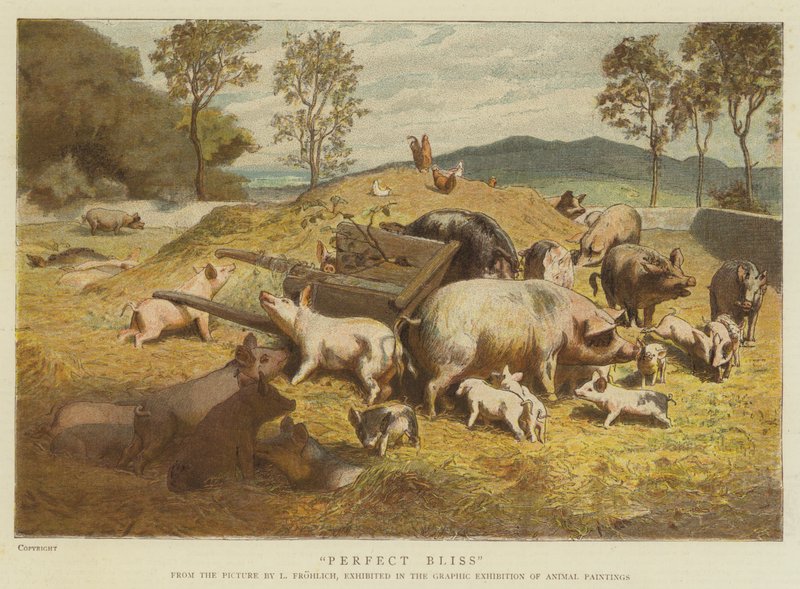 Perfect Bliss (chromolitho) od Lorens Frolich